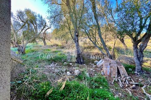 Landejendom i Sineu, Mallorca, Sineu - € 950.000 | Ref: LLV448 - foto 29