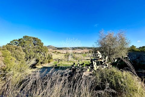 Landejendom i Sineu, Mallorca, Sineu - € 950.000 | Ref: LLV448 - foto 31