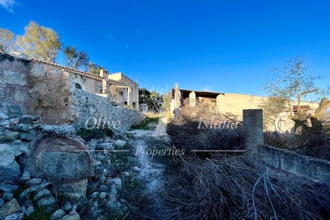 Landejendom i Sineu, Mallorca, Sineu - € 950.000 | Ref: LLV448 - foto 32