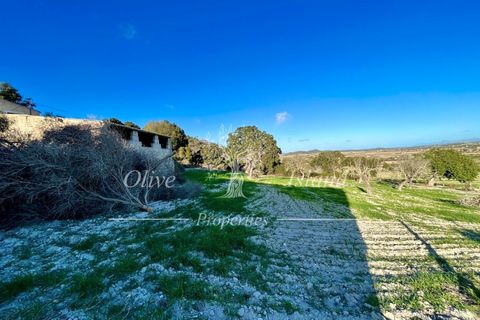 Landejendom i Sineu, Mallorca, Sineu - € 950.000 | Ref: LLV448 - foto 33