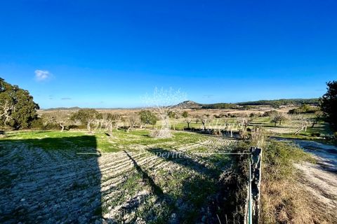 Landejendom i Sineu, Mallorca, Sineu - € 950.000 | Ref: LLV448 - foto 34