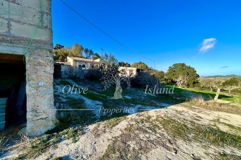 Landejendom i Sineu, Mallorca, Sineu - € 950.000 | Ref: LLV448 - foto 35