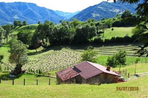 Villa a Bergamo, Bergamo, Bergamo - € 750.000 | Ref: 18434-findyourd - foto 19