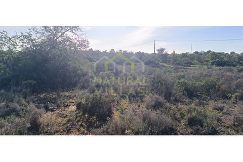 Helårsgrund i Quelfes, Faro, Quelfes - € 35.000 | Ref: TER_2500_VEND - foto 2