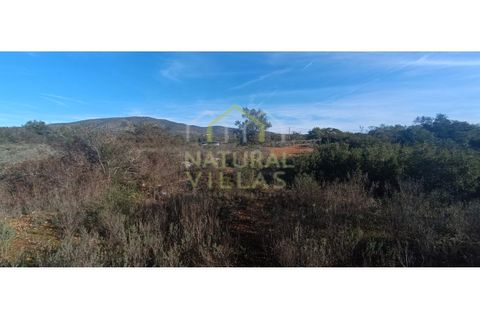 Helårsgrund i Quelfes, Faro, Quelfes - € 45.000 | Ref: TER_2499_VEND - foto 3