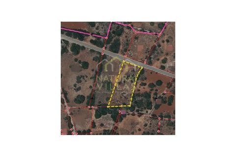 Helårsgrund i Quelfes, Faro, Quelfes - € 45.000 | Ref: TER_2499_VEND - foto 5