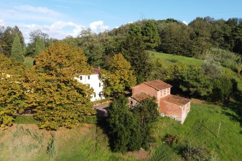 Villa i Capannori, Lucca, Capannori - € 2.300.000 | Ref: IA01267-bis - foto 2