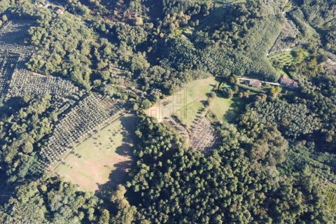 Villa i Capannori, Lucca, Capannori - € 2.300.000 | Ref: IA01267-bis - foto 7