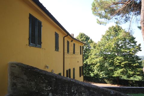 Villa i Capannori, Lucca, Capannori - € 2.300.000 | Ref: IA01267-bis - foto 17