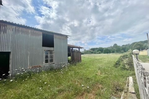 Villa i Massarosa, Lucca, Massarosa - € 280.000 | Ref: 1932 - foto 5
