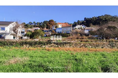 Terra a Areosa, Viana do Castelo, Areosa - € 269.000 | Ref: VCC14247 - foto 7