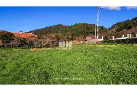 Terra a Areosa, Viana do Castelo, Areosa - € 269.000 | Ref: VCC14247 - foto 11