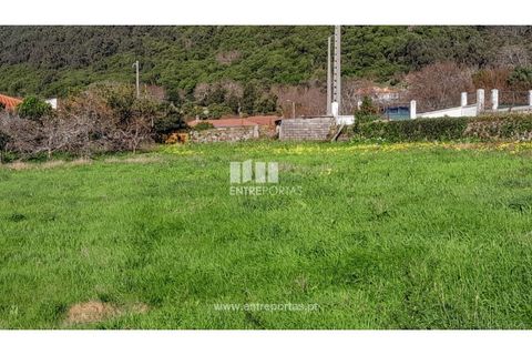 Terra a Areosa, Viana do Castelo, Areosa - € 269.000 | Ref: VCC14247 - foto 15