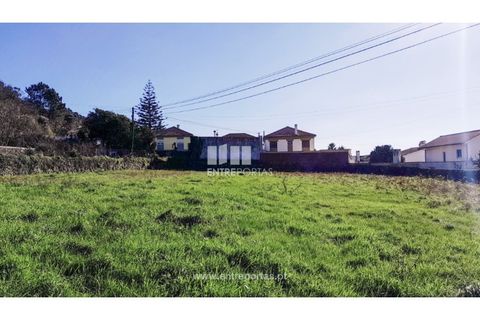 Terra a Areosa, Viana do Castelo, Areosa - € 269.000 | Ref: VCC14247 - foto 22
