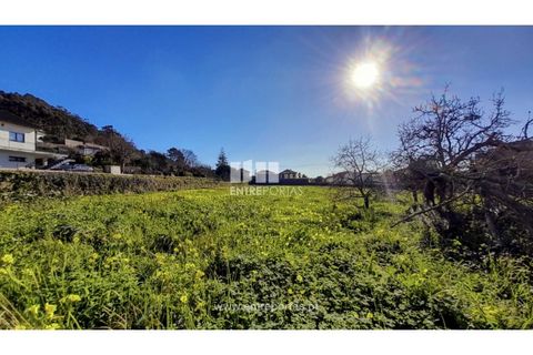 Terra a Areosa, Viana do Castelo, Areosa - € 269.000 | Ref: VCC14247 - foto 24