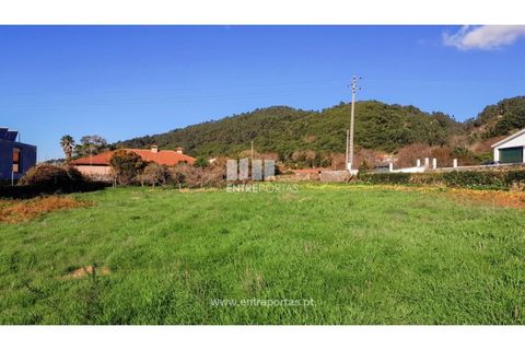Terra a Areosa, Viana do Castelo, Areosa - € 269.000 | Ref: VCC14247 - foto 25