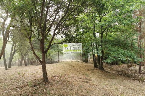 Landejendom i Leiria, Leiria, Leiria - € 250.000 | Ref: 654 - foto 6