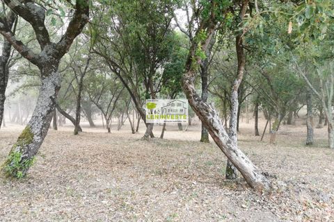 Landejendom i Leiria, Leiria, Leiria - € 250.000 | Ref: 654 - foto 7
