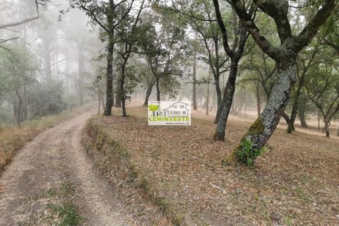 Landejendom i Leiria, Leiria, Leiria - € 250.000 | Ref: 654 - foto 8