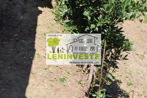 Landejendom i Leiria, Leiria, Leiria - € 250.000 | Ref: 654 - foto 11