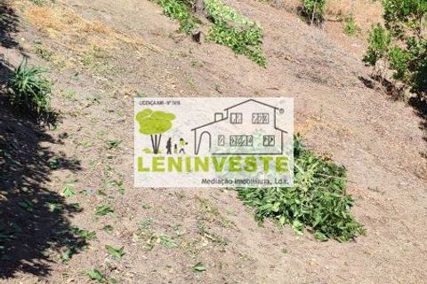Landejendom i Leiria, Leiria, Leiria - € 250.000 | Ref: 654 - foto 13