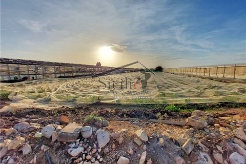 Helårsgrund i Scicli, Ragusa, Scicli - € 50.000 | Ref: 123 - foto 10