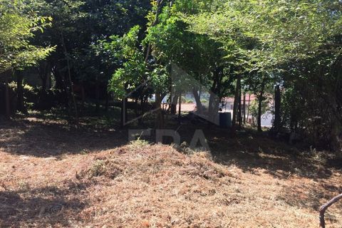 Helårsgrund i Guimaraes, Braga, Guimaraes - € 95.000 | Ref: 039240013 - foto 3
