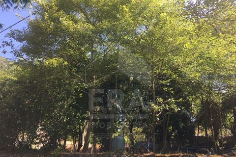 Helårsgrund i Guimaraes, Braga, Guimaraes - € 95.000 | Ref: 039240013 - foto 6