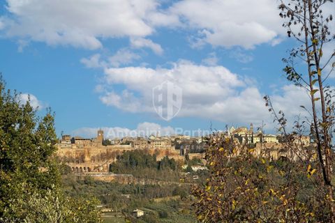 Villa a Orvieto, Terni, Orvieto - € 350.000 | Ref: 60916 - foto 9