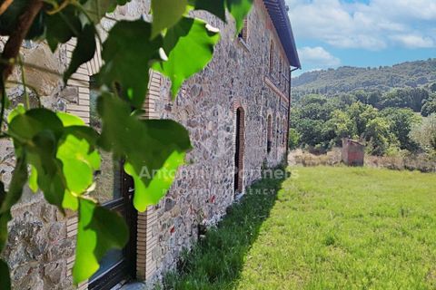 Villa a Orvieto, Terni, Orvieto - € 350.000 | Ref: 60916 - foto 13