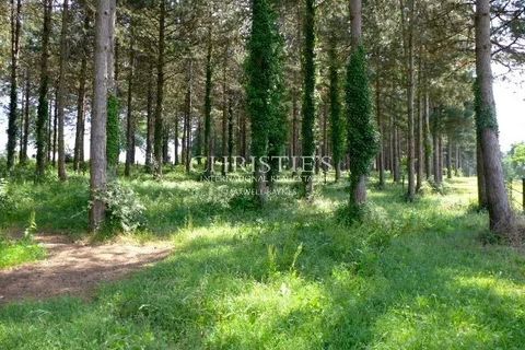 Landejendom i Le Bugue, Dordogne, Le Bugue - € 1.963.700 | Ref: KP1027 - foto 30