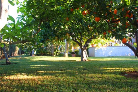 Villa a Bunyola, Mallorca, Bunyola - € 1.200.000 | Ref: C-C372 - foto 24