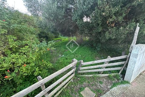 Terra a Alaior, Menorca, Alaior - € 165.000 | Ref: MEN47570 - foto 3