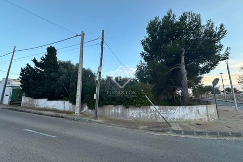 Terra a Alaior, Menorca, Alaior - € 165.000 | Ref: MEN47570 - foto 5