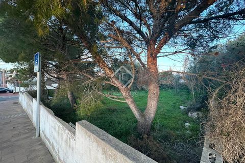 Terra a Alaior, Menorca, Alaior - € 165.000 | Ref: MEN47570 - foto 6