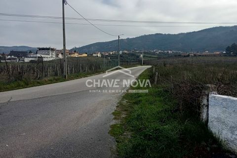 Helårsgrund i Chaves, Vila Real, Chaves - € 560.000 | Ref: AR/04150 - foto 7