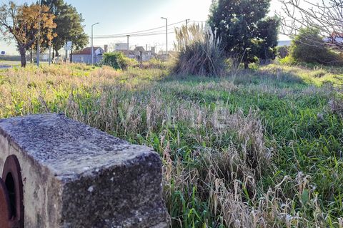 Helårsgrund i Ilhavo, Aveiro, Ilhavo - € 65.000 | Ref: AV2025 - foto 8