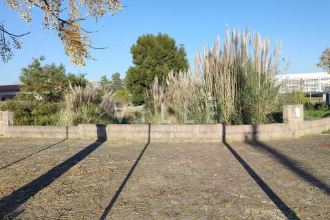 Helårsgrund i Ilhavo, Aveiro, Ilhavo - € 63.000 | Ref: AV2026 - foto 3