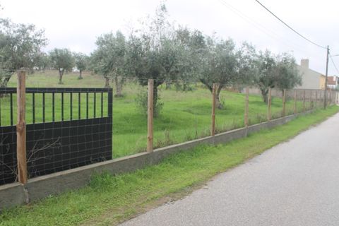Farm hus i Redondo, Evora, Redondo - € 200.000 | Ref: FIN_203 - foto 36