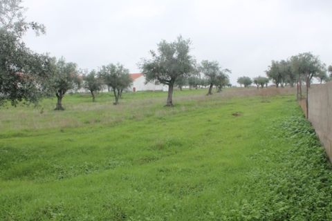 Farm hus i Redondo, Evora, Redondo - € 200.000 | Ref: FIN_203 - foto 37