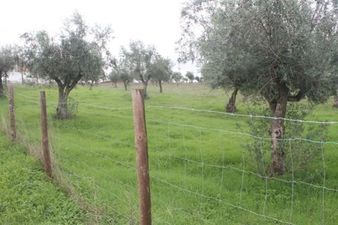 Farm hus i Redondo, Evora, Redondo - € 200.000 | Ref: FIN_203 - foto 38