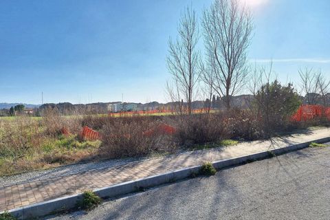 Terra a Macerata, Macerata, Macerata - € 31.748 | Ref: 22736 - foto 3