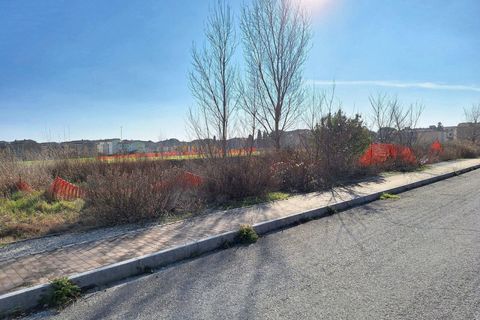 Terra a Macerata, Macerata, Macerata - € 31.748 | Ref: 22736 - foto 4