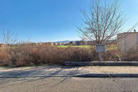 Terra a Macerata, Macerata, Macerata - € 31.748 | Ref: 22736 - foto 6
