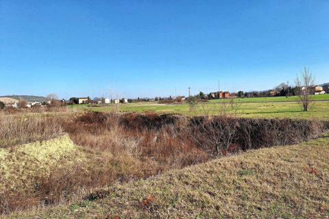 Terra a Macerata, Macerata, Macerata - € 31.748 | Ref: 22736 - foto 8