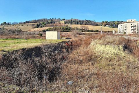 Terra a Macerata, Macerata, Macerata - € 31.748 | Ref: 22736 - foto 9