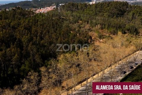 Helårsgrund i Pedroso, Porto, Pedroso - € 425.000 | Ref: ZMPT557985 - foto 8