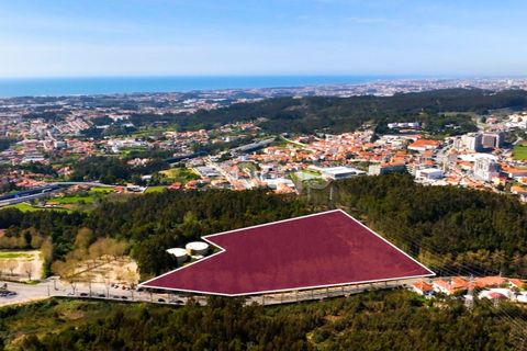 Helårsgrund i Pedroso, Porto, Pedroso - € 425.000 | Ref: ZMPT557985 - foto 1
