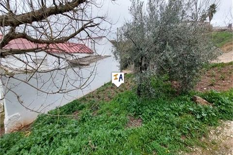 Cortijo i Cabra, Cordoba, Cabra - € 135.000 | Ref: CJ844 - foto 15