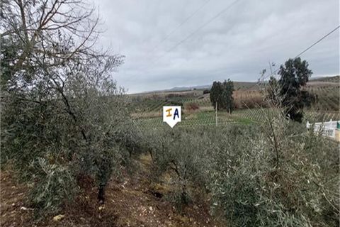 Cortijo i Cabra, Cordoba, Cabra - € 135.000 | Ref: CJ844 - foto 16
